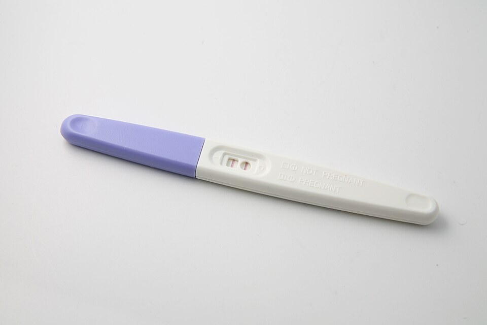 A home pregnancy test