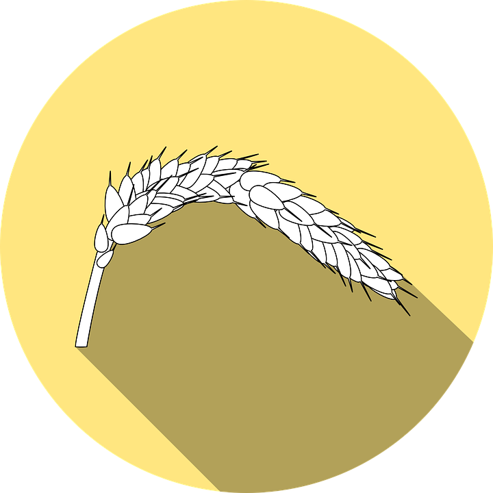 Celiac Disease Treatment