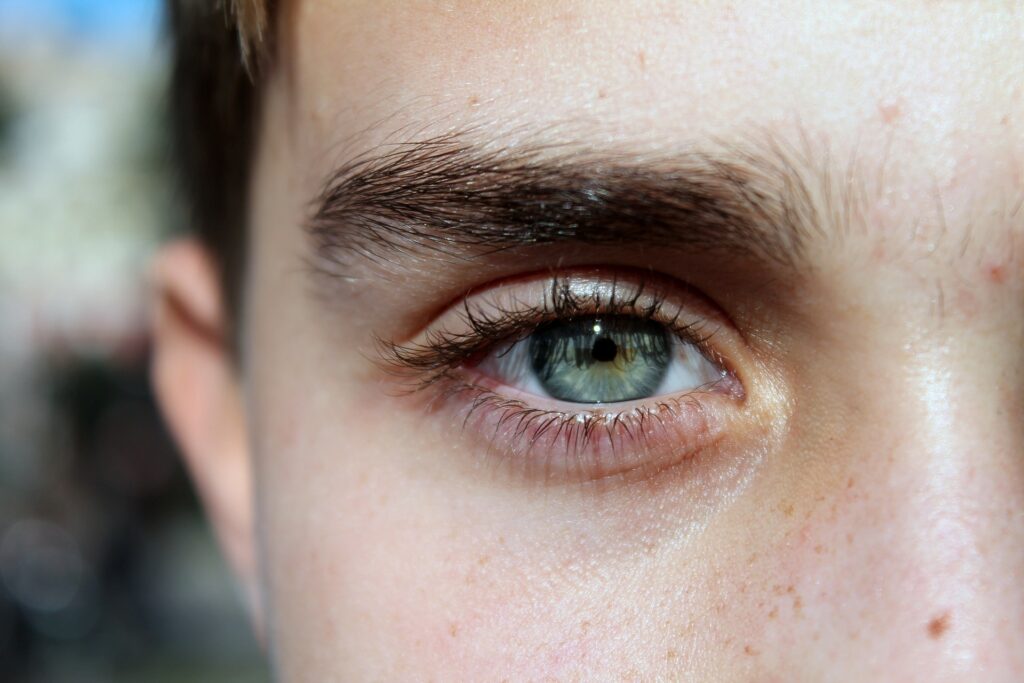 Eyebrows Grow Back