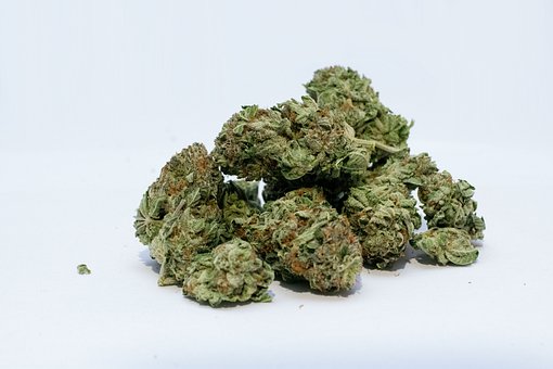 a bunch of cannabis buds
