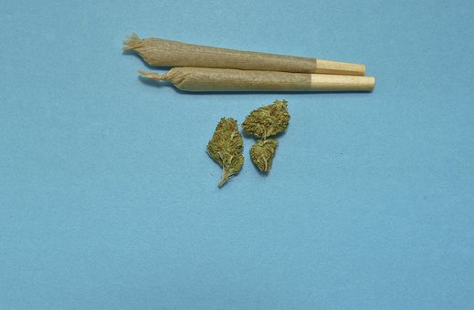 marijuana sticks with cannabis leaves